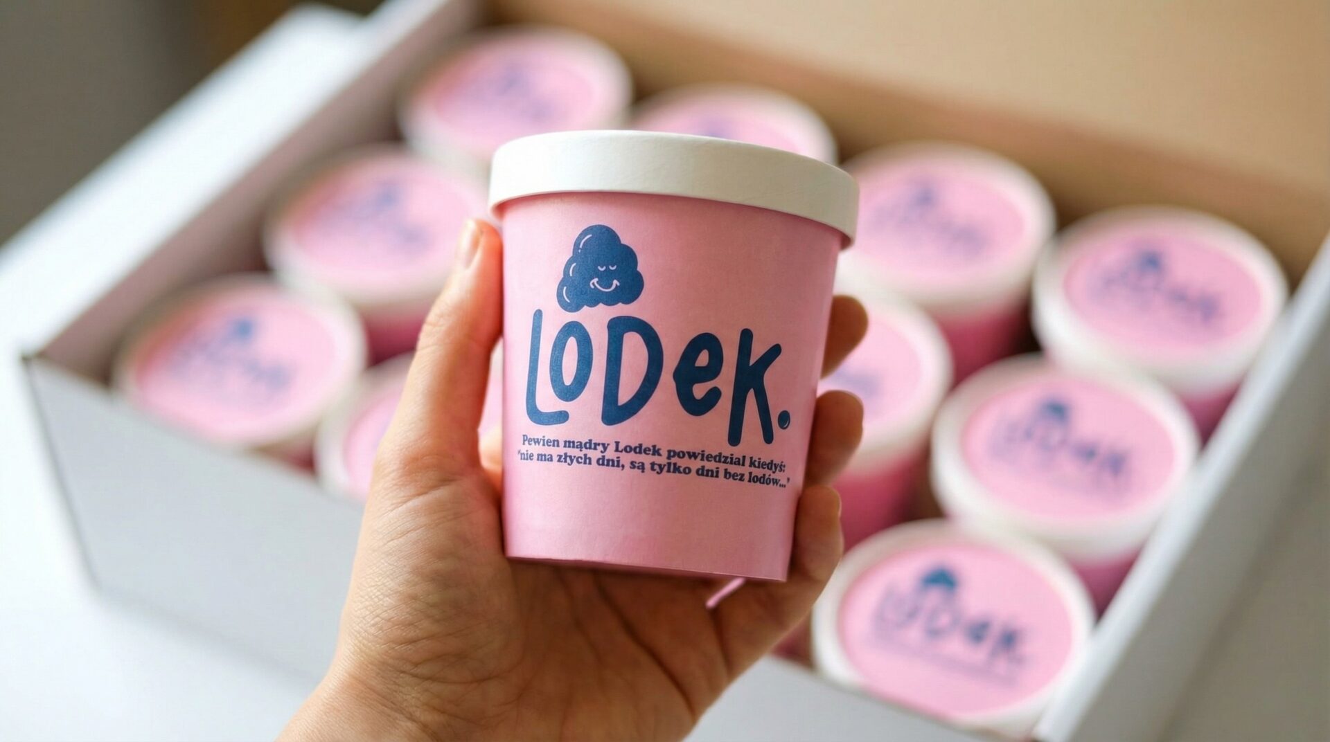Lodek Ice Cream Delivery